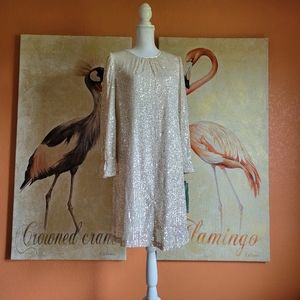 NWT Maia Sequin Dress Long Sleeve Modest  Ivory Silver Sparkle Shift 10
